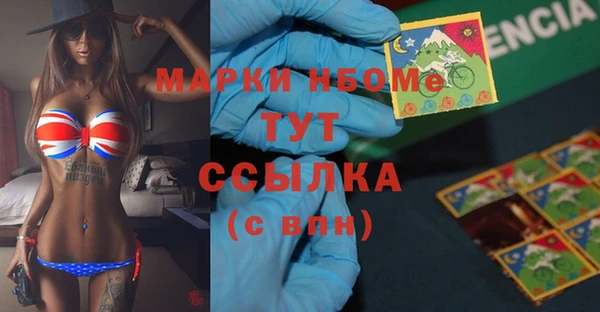 молекула духа Вяземский