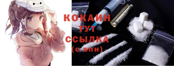 молекула духа Вяземский
