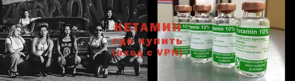 молекула духа Вяземский