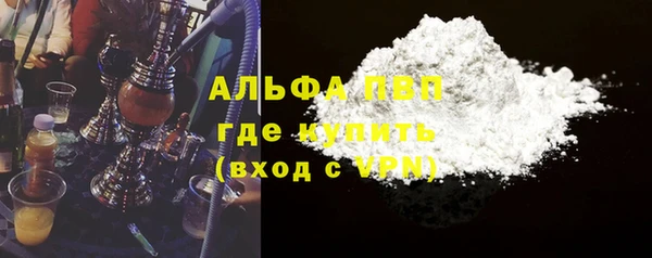 молекула духа Вяземский