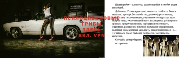 a pvp Вязники