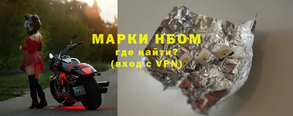 молекула духа Вяземский
