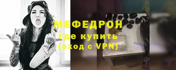 молекула духа Вяземский