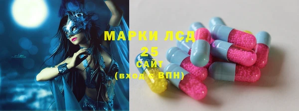 молекула духа Вяземский