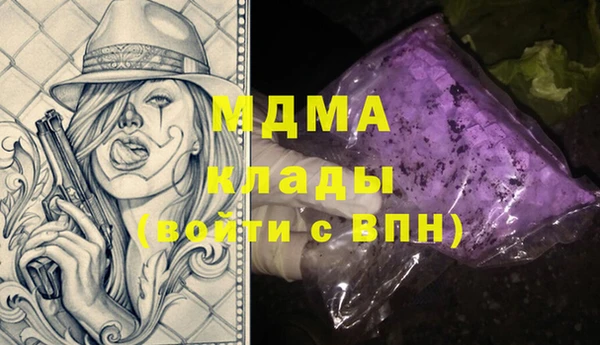 молекула духа Вяземский