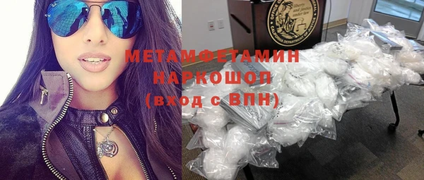 молекула духа Вяземский