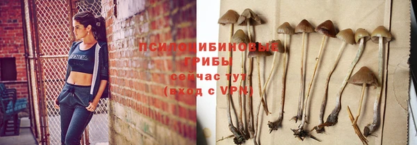 a pvp Вязники