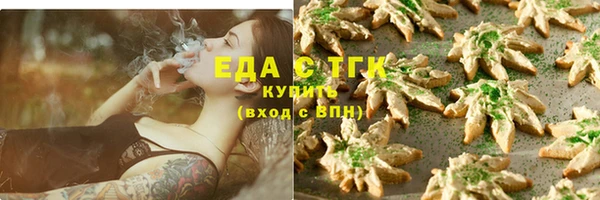 молекула духа Вяземский