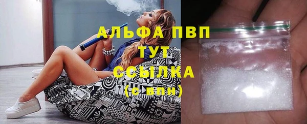 молекула духа Вяземский