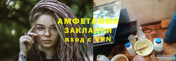 молекула духа Вяземский