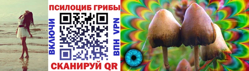 Псилоцибиновые грибы GOLDEN TEACHER Павловск