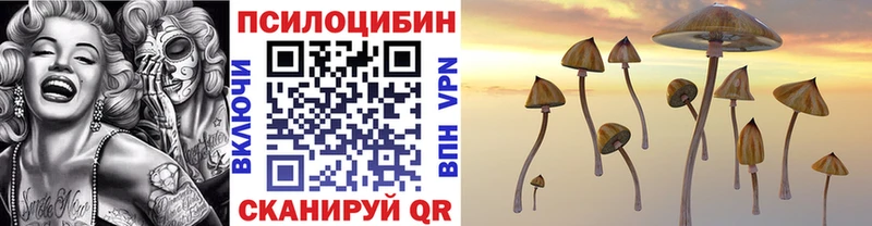 Псилоцибиновые грибы ЛСД  Купить закладки  Павловск 
